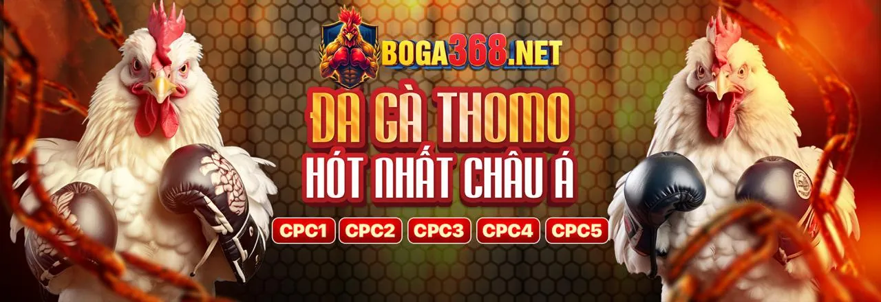 Giao diện thân thiện của ứng dụng 56wim04