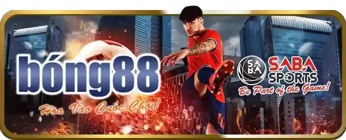 Các chương trình khuyến mãi và ưu đãi thể thao hấp dẫn của 56wim04